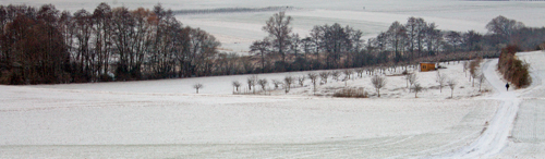Felder bei Klein-Winternheim mit Blick auf Heilbach.