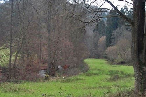 Der Ernstbach schlängelt sich durch grüne Wiesen.
